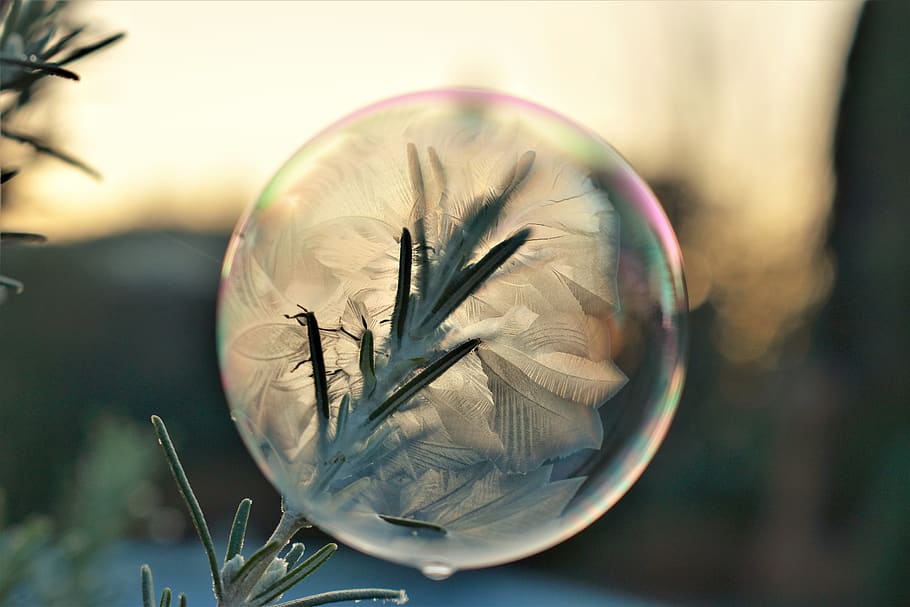 burbuja de jabón, congelado, invierno, hielo, burbuja, bola, frío, escarcha, cristales, bola de escarcha
