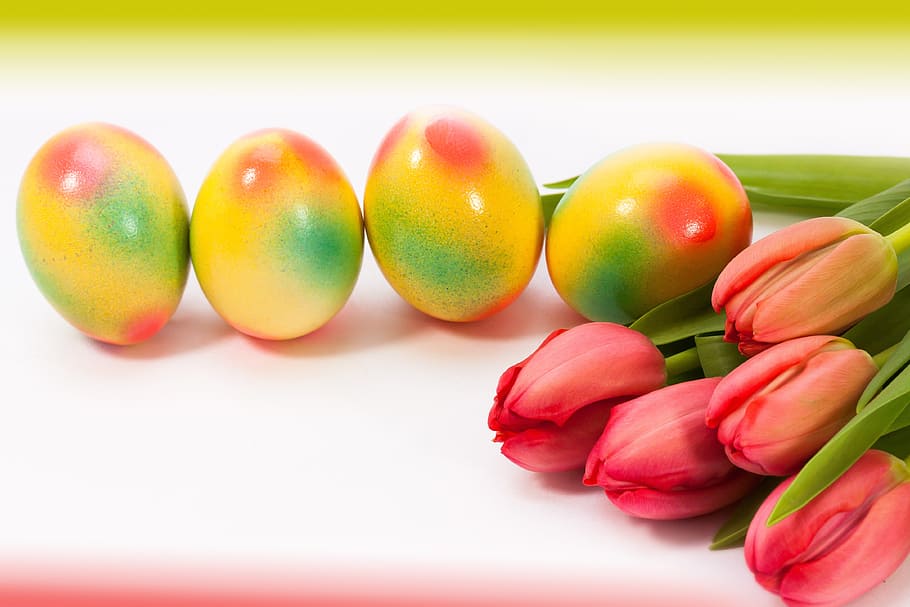 yellow, eggs, red, tulips, white, surface, easter egg, egg, spring, frühlingsanfang