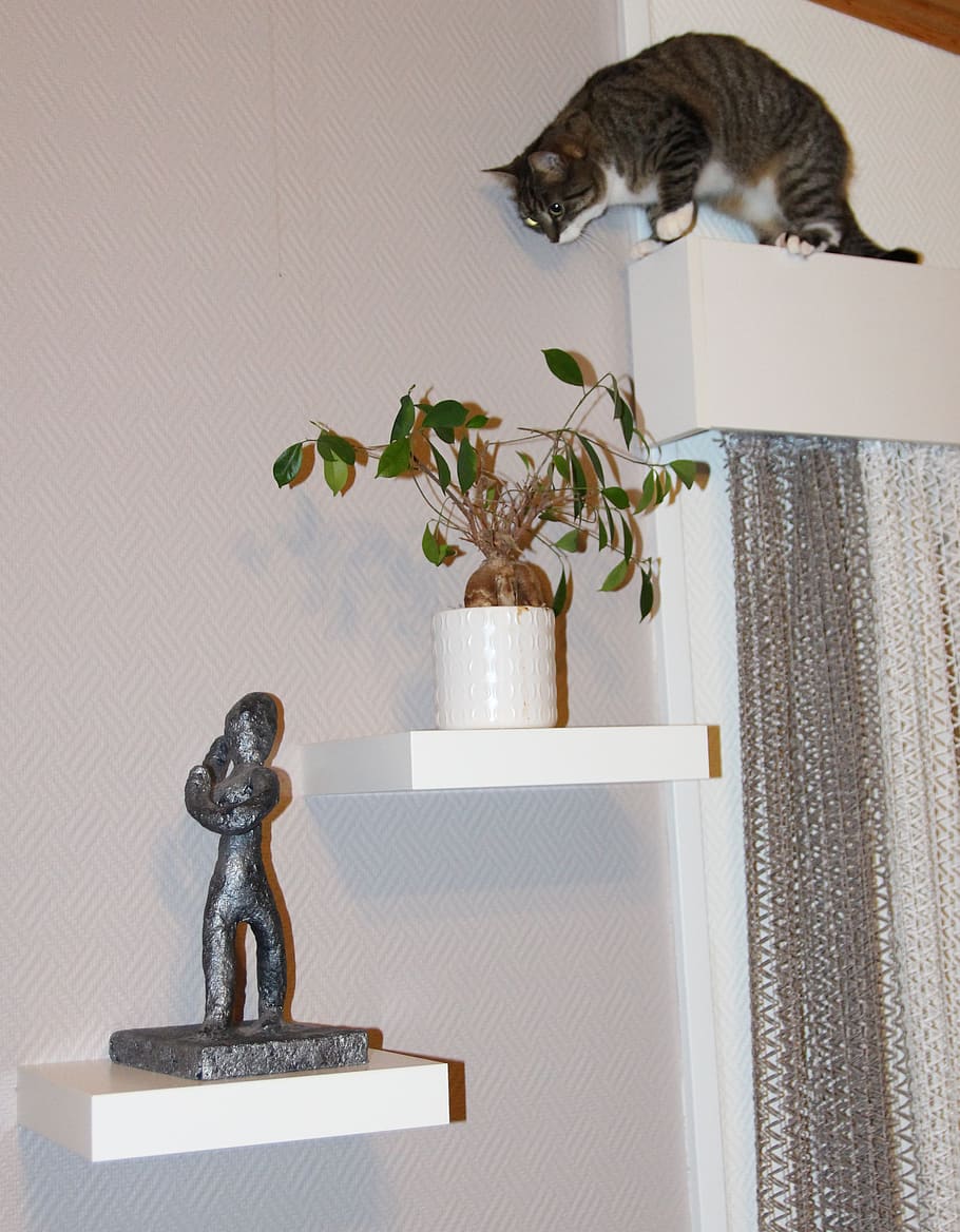 Home, Decoration, cat, figurine, wooden, shelf, indoors, animal themes, animal, domestic