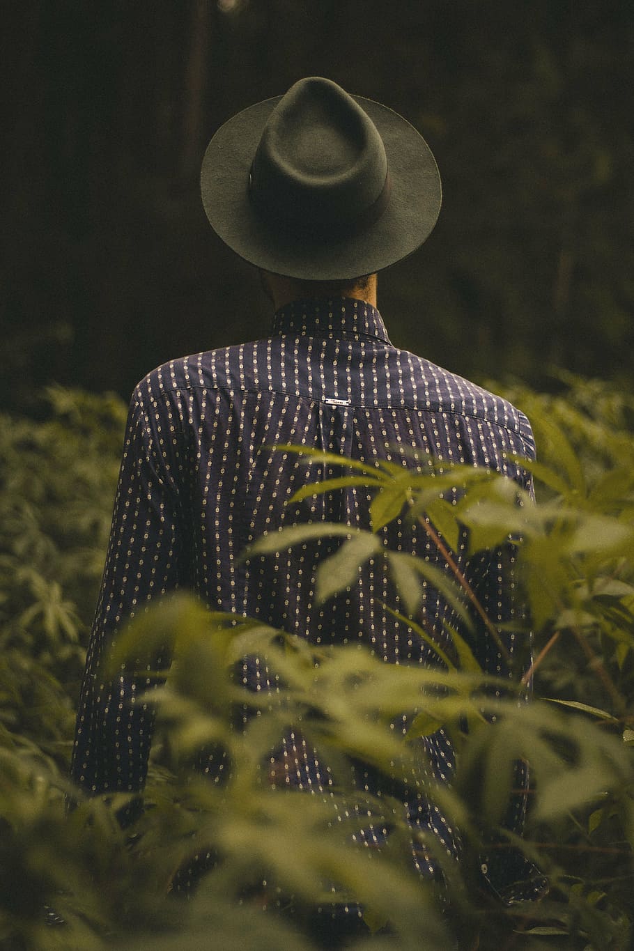person, wearing, hat, sport shirt, people, guy, man, nature, outdoor, fashion