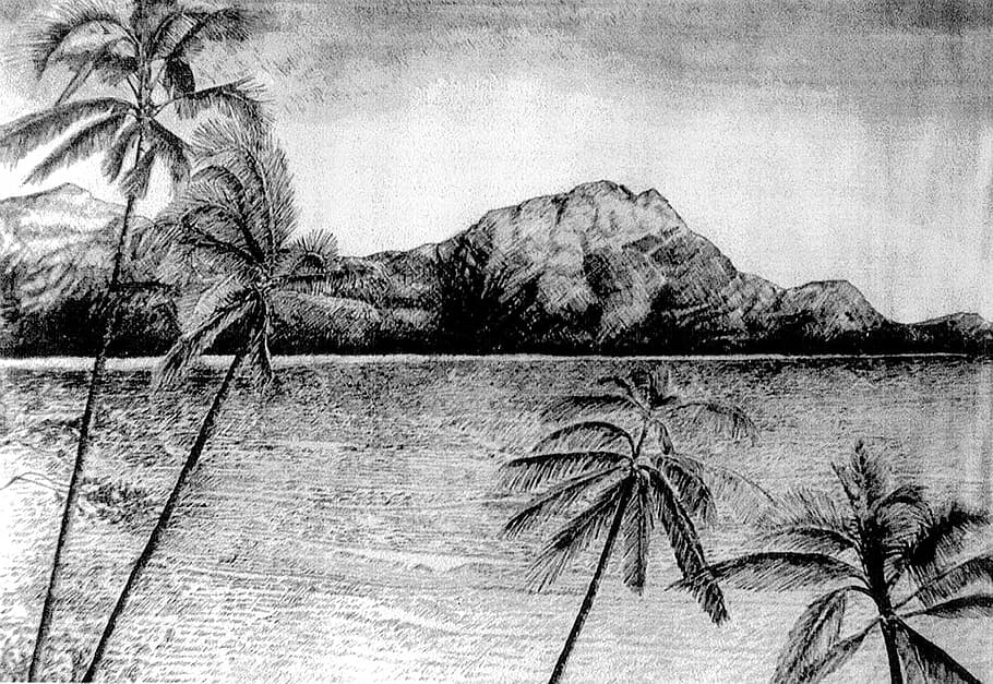 hills, Tropical, Scene, Palm trees, artwork, landscape, landscapes, public domain, tropical scene, water