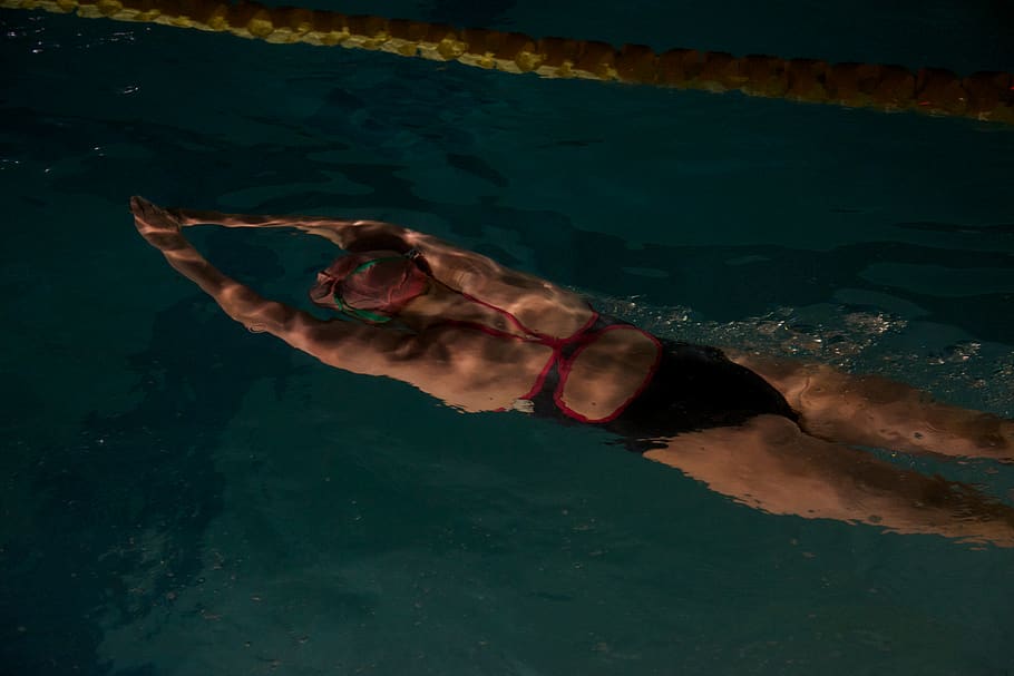 people, woman, swimming, pool, water, athlete, fitness, exercise, sport, one person