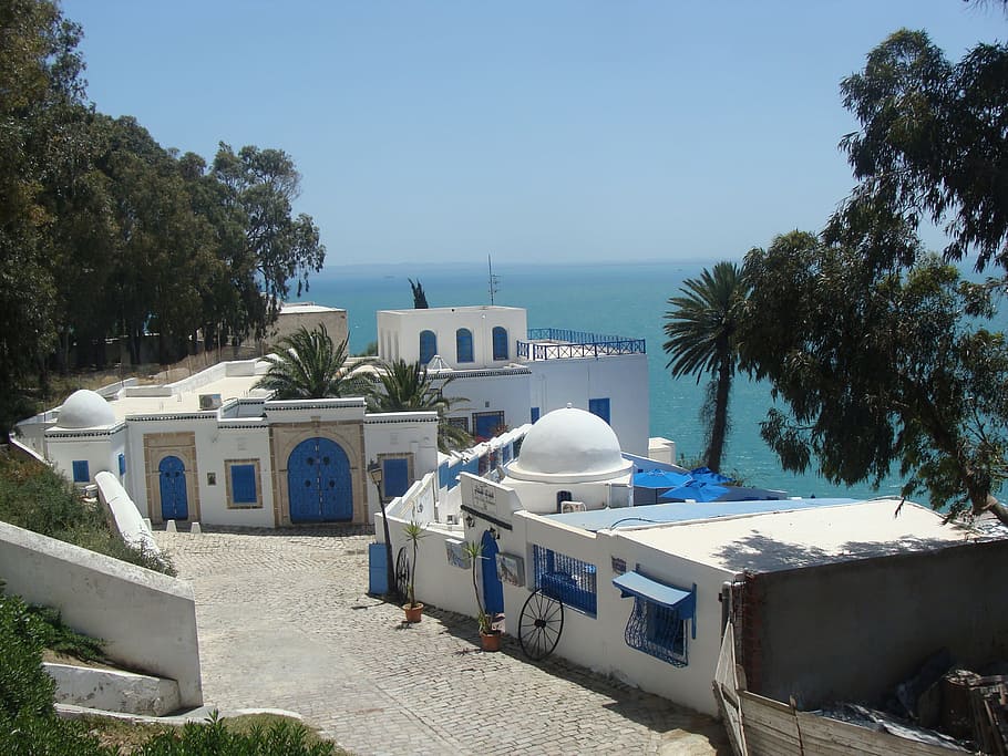 white, concrete, house, body, water, Arabic, Houses, blue, tree, sea