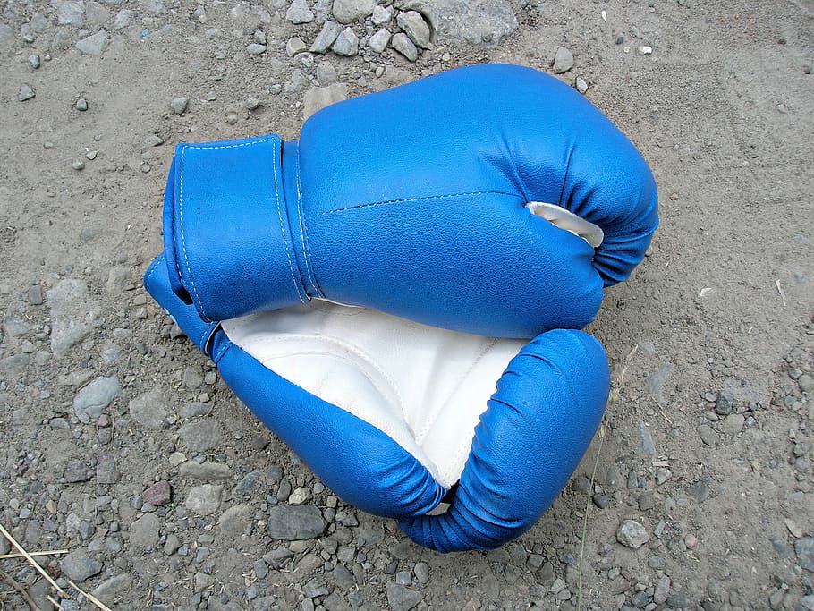 ペア, 青, ボクシンググローブ, グレー, 表面, ボクシング, スポーツ, 手袋, 強い, 高角度のビュー