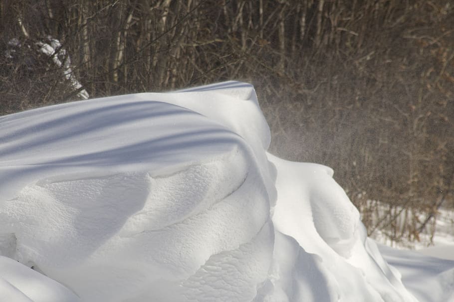 Winter, Snow, Snowdrift, nature, cold - Temperature, white, outdoors, ice, frozen, frost