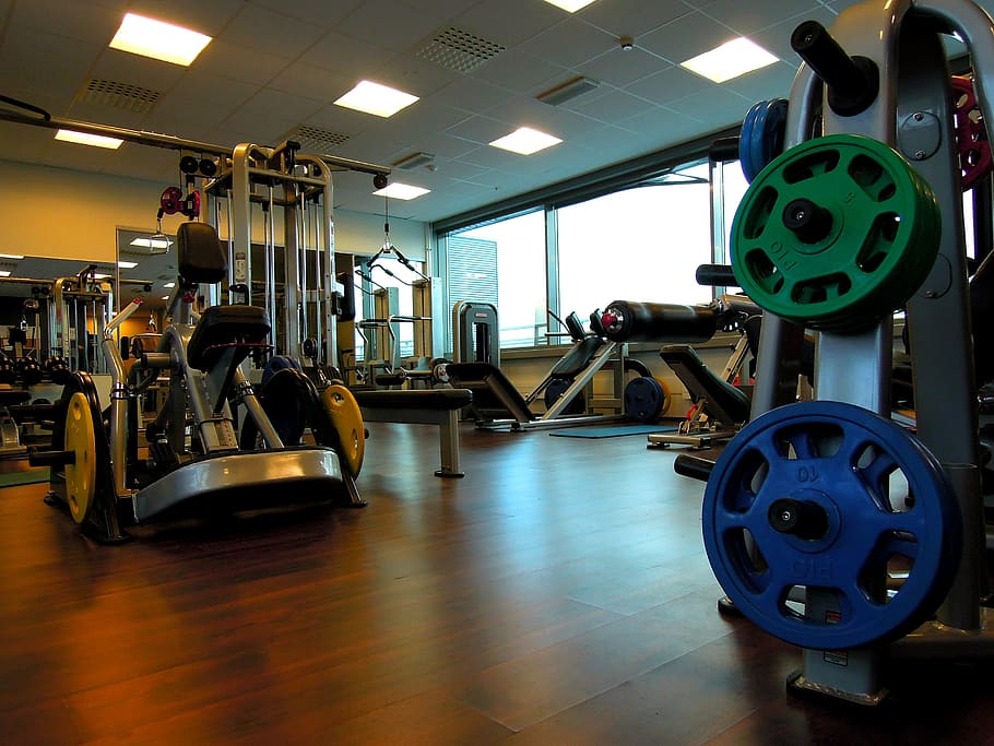 in the gym, exercise in, weights, equipment, gym equipment, indoors, gym, exercising, health club, sports training