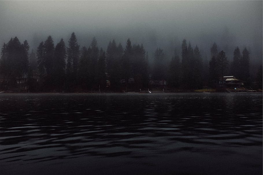 cuerpo, agua, árboles, negro, nieblas, lago, muelles, casas, niebla, reflexión