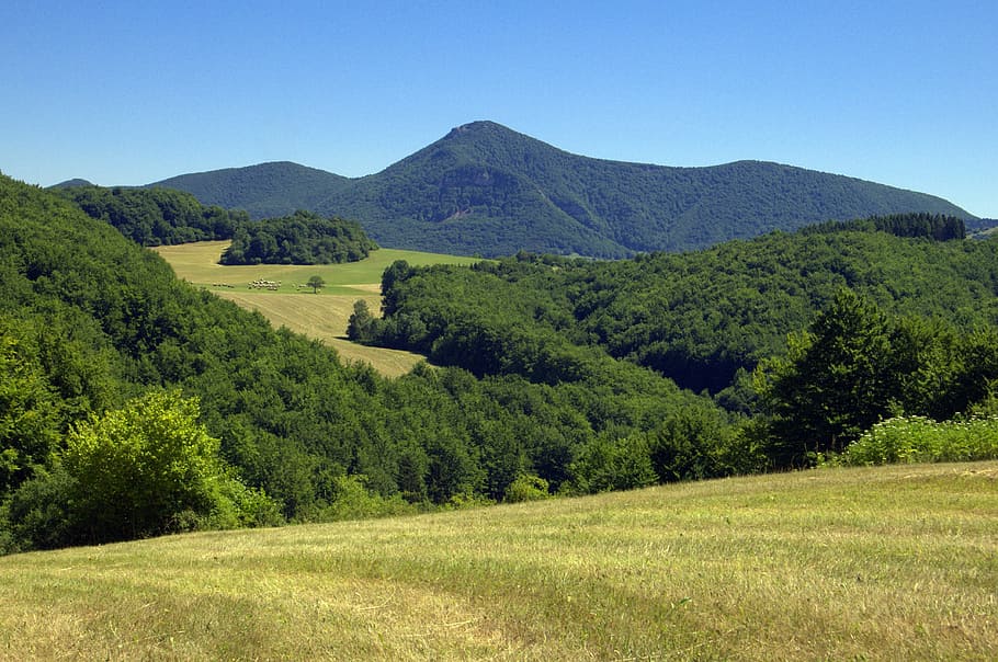 slovakia, strážov, gunung, alam, pohon, musim panas, bukit, di luar ruangan, lanskap, Warna hijau