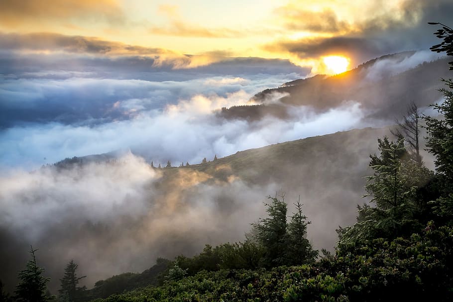 mountain, fog, sun rise, mountains, landscape, mist, smoke, forest, trees, environment