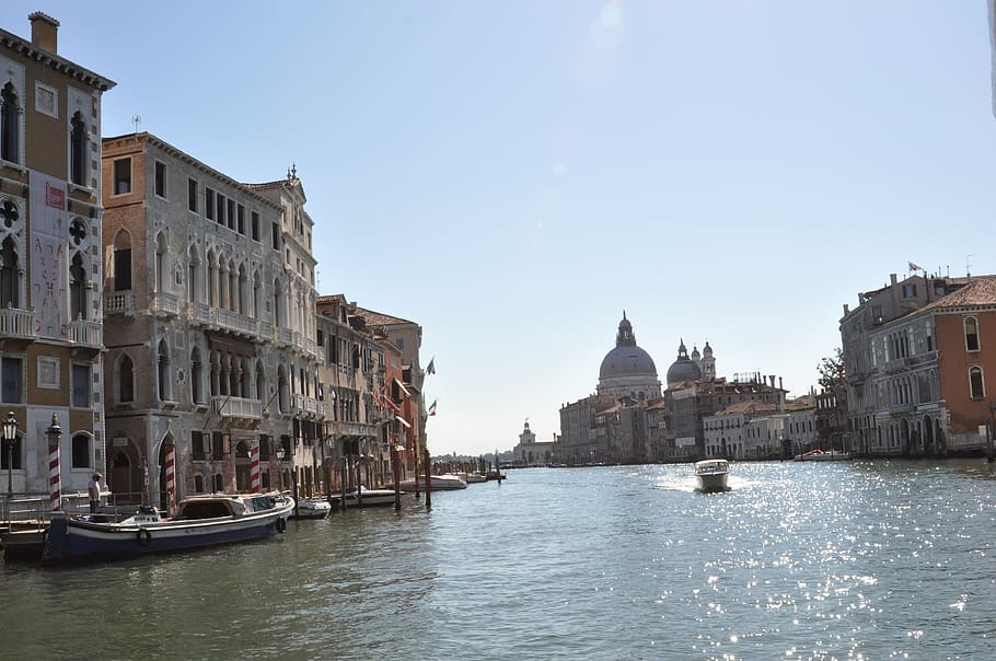 venesia, grand canal, air, kanal, gondola, bersejarah, terkenal, italia, pariwisata, Foto-foto gratis