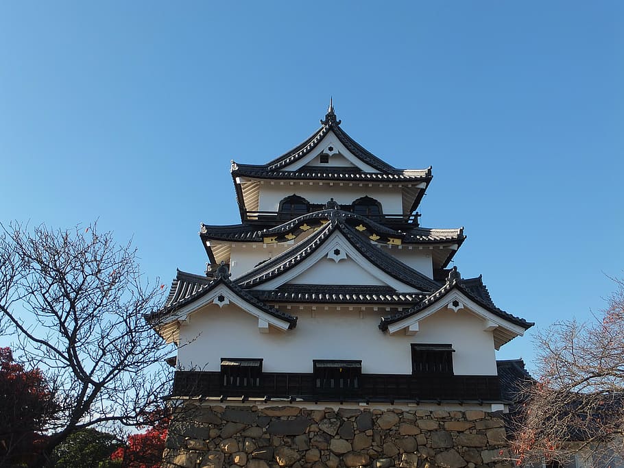 kastil, jepang, hikone, bangunan, budaya Jepang, arsitektur, sejarah, ninja, Tempat terkenal, budaya