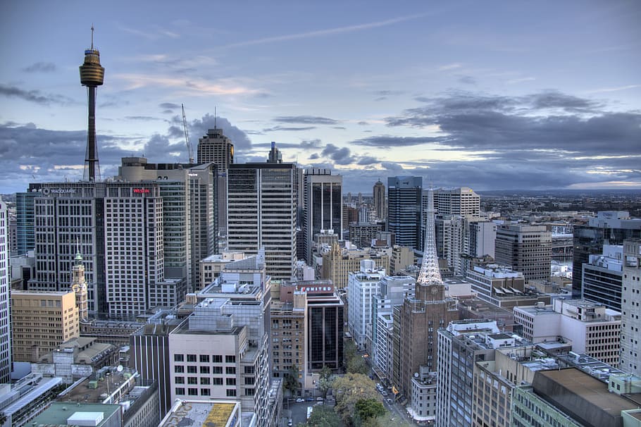 灰色, コンクリート, 建物, 空, シドニー, ダウンタウン, 上から, シドニーの高層ビル, 建物の外観, 建築