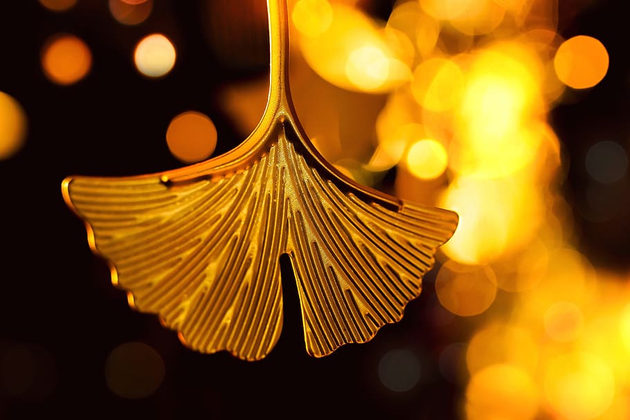 ginkgo leaf, decoration, golden, ginko, shiny, celebration, yellow, christmas, advent, solemnly