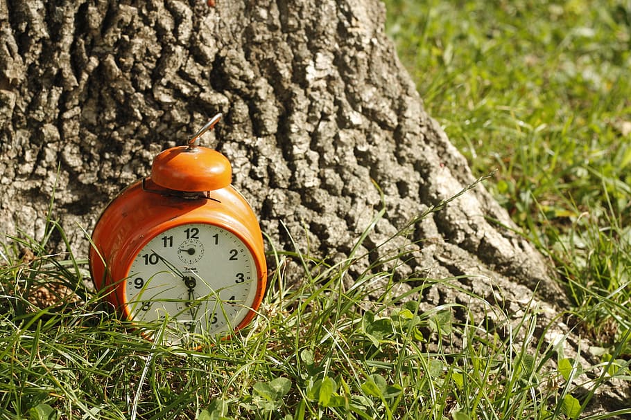 clock, grass, orange, wood, time, alarm, nature, green, hour, daylight