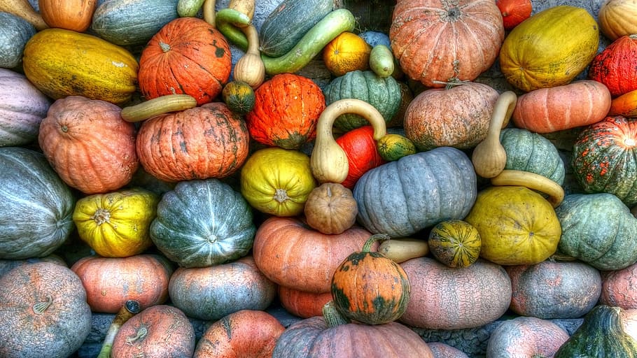 Halloween, Wishes, assorted-color squash lot, food, food and drink, variation, freshness, choice, large group of objects, vegetable