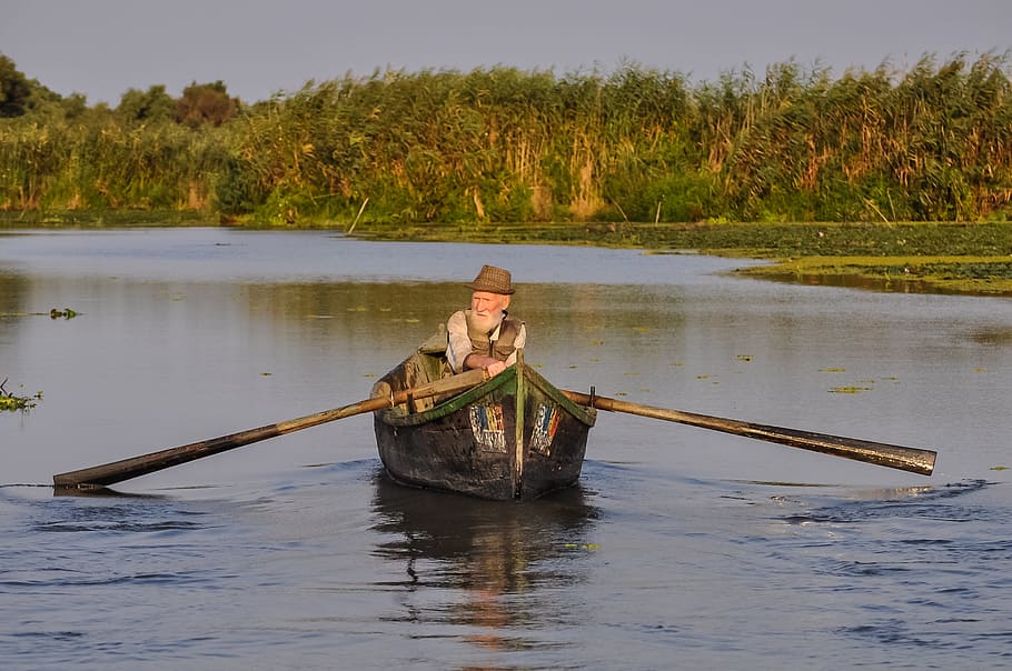 man rowing, boat, middle, calm, body, water, fisherman, old, person, oarsman