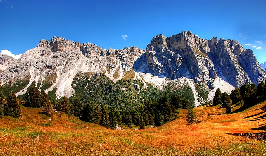 Verde, hojeado, árboles, detrás, montaña, Dolomitas, montañas, Italia, Tirol del Sur, vista