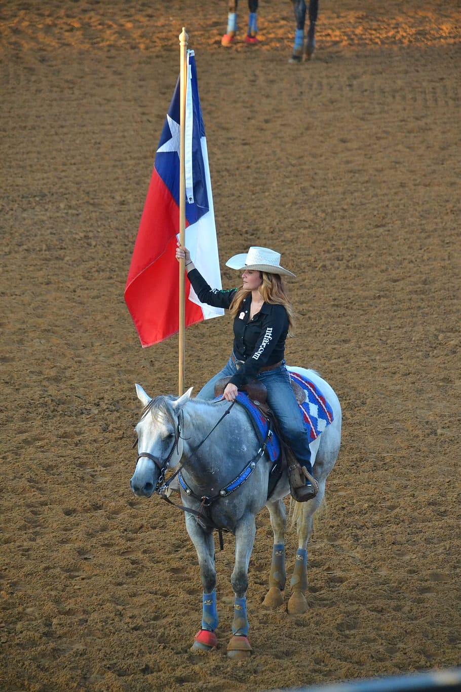 texas state flag, horse, cowgirl, american, domestic animals, flag, domestic, mammal, livestock, real people