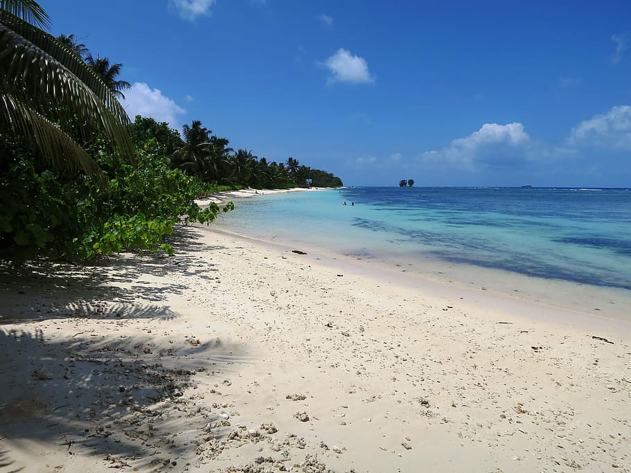 seychelles, bela praia, oceano índico, praia, ilha, praia de areia, mar, agua, terra, céu