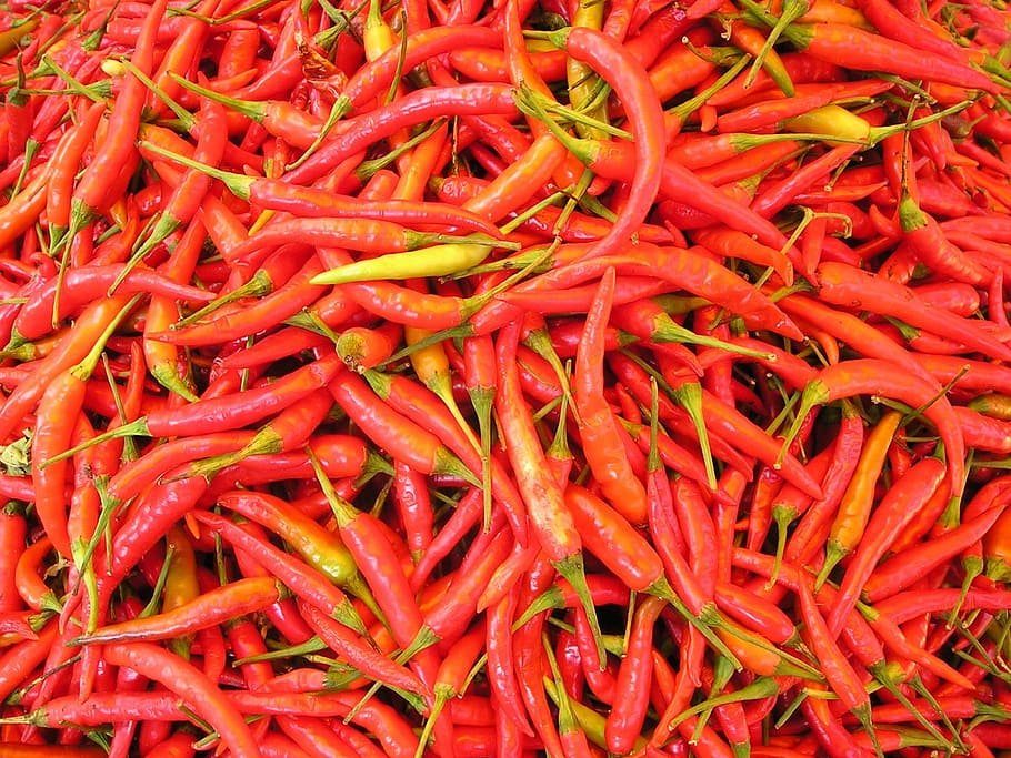 red chili lot, chilli pepper, sharp, spices, laos, chili, hot, red, southeast, asia