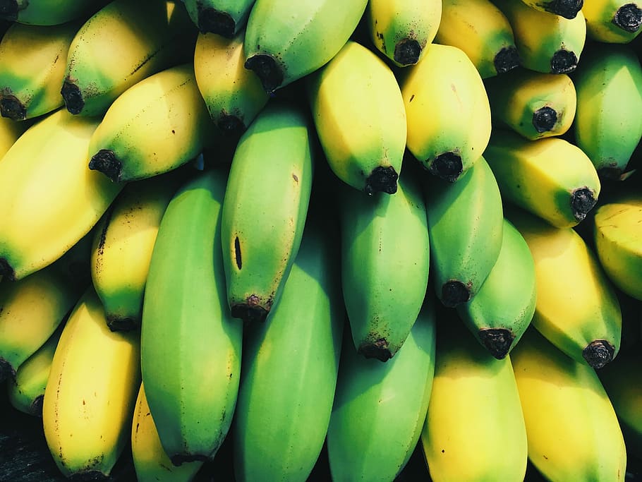 Plátanos, plátano, exótico, fruta, verde, amarillo, comida, frescura, maduro, naturaleza