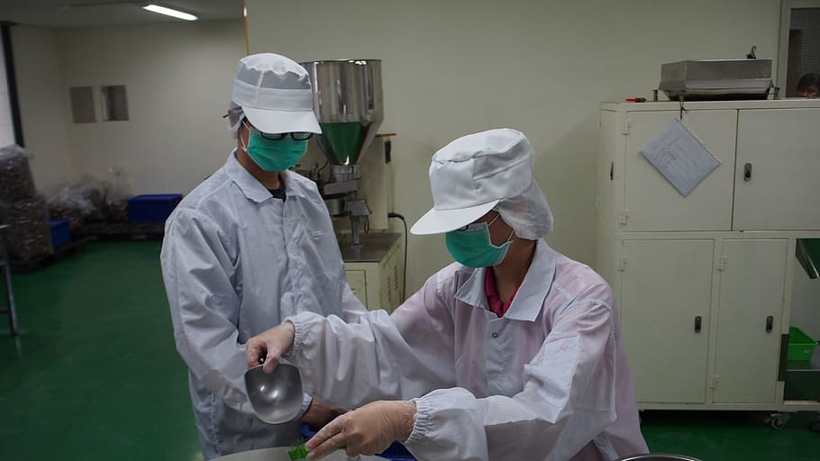two, person, wearing, medical, gown, inside, room, performing, test, food factories