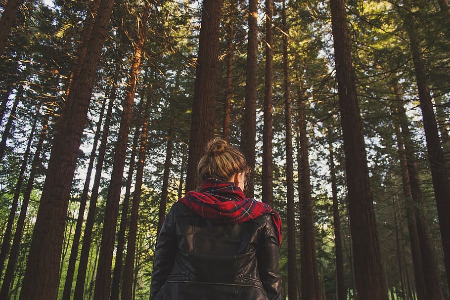 girl, leather, jacket, scarf, woods, forest, trees, nature, people, brunette