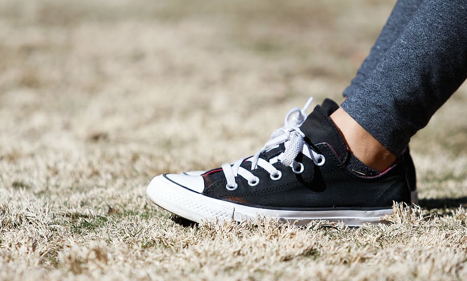 shallow, focus photography, pair, black-and-white, low-top sneakers, converse, shoes, grass, outdoors, sneakers