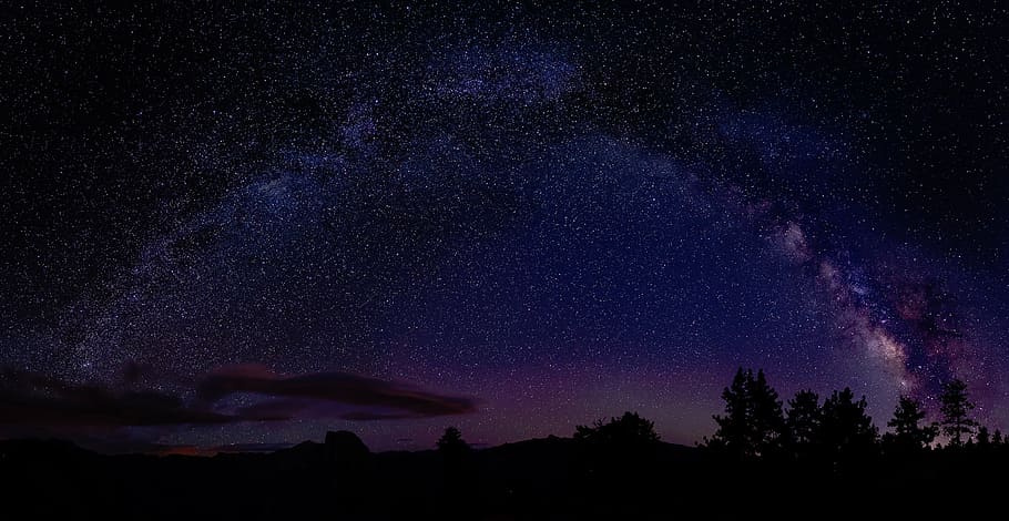 estrelas, céu noturno, natureza, árvores, silhueta, noite, céu, astronomia, estrela - Espaço, Via Láctea