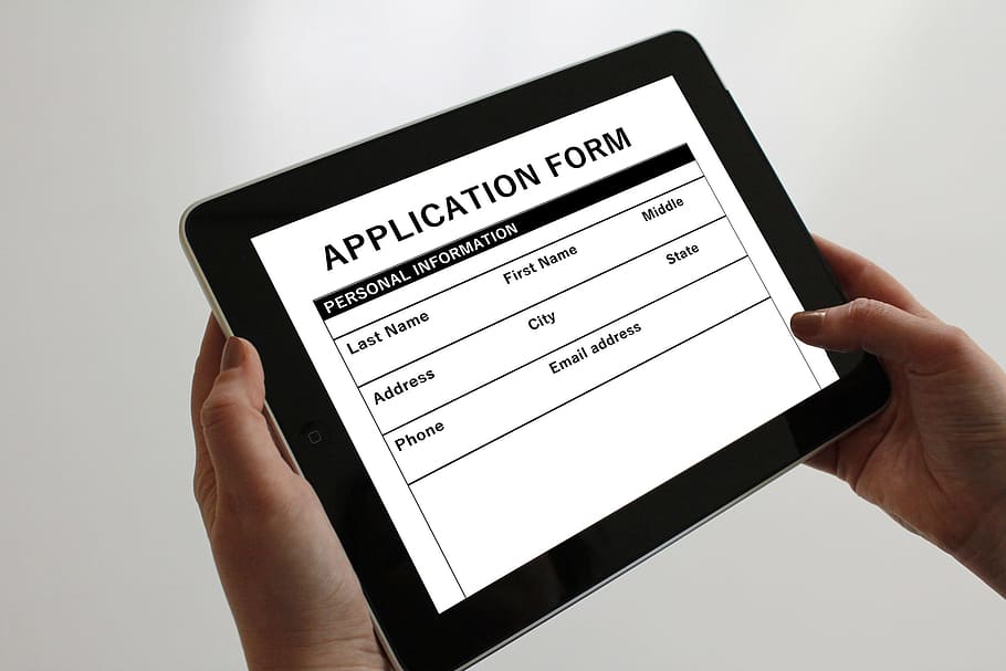 person, holding, tablet, displaying, application form, tablet computer, application, request, ipad, online
