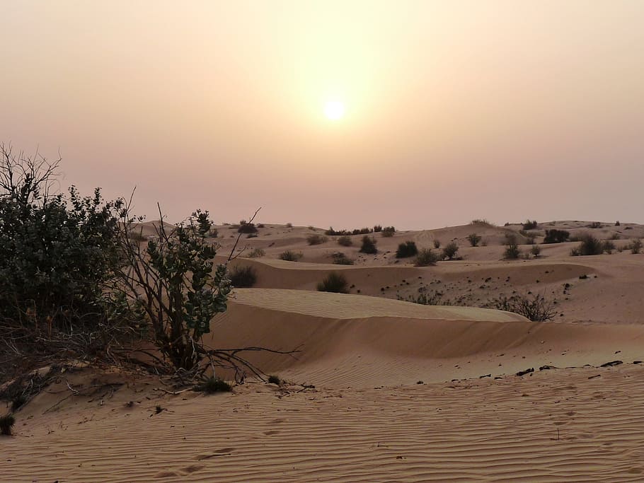 desierto, ocaso, calor, iluminación, cielo, paisajes - naturaleza, tranquilidad, escena tranquila, arena, paisaje