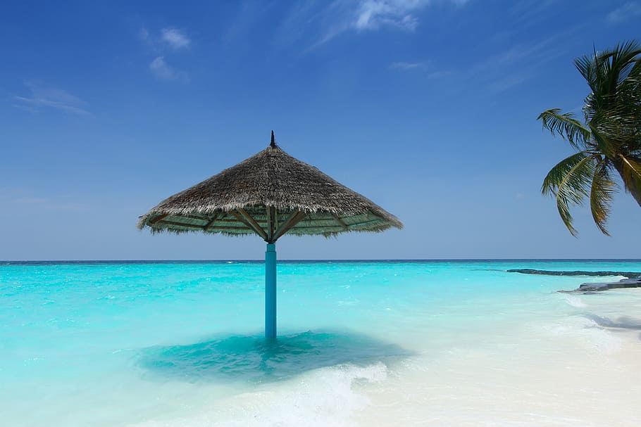 sombrilla de hoja de palma, orilla de la playa, maldivas, palmeras, playa, verano, sol, agua, reservadas, hermosas playas