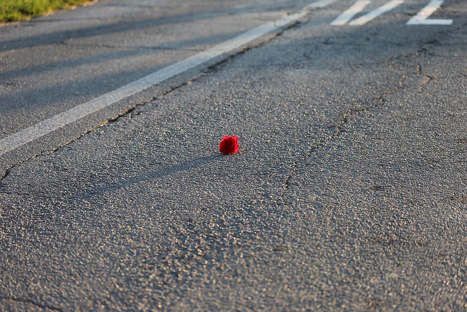 pequeña rosa roja, cruce ferroviario, carretera, atención, vidas perdidas, accidente, conducir con cuidado, al aire libre, rojo, sin gente