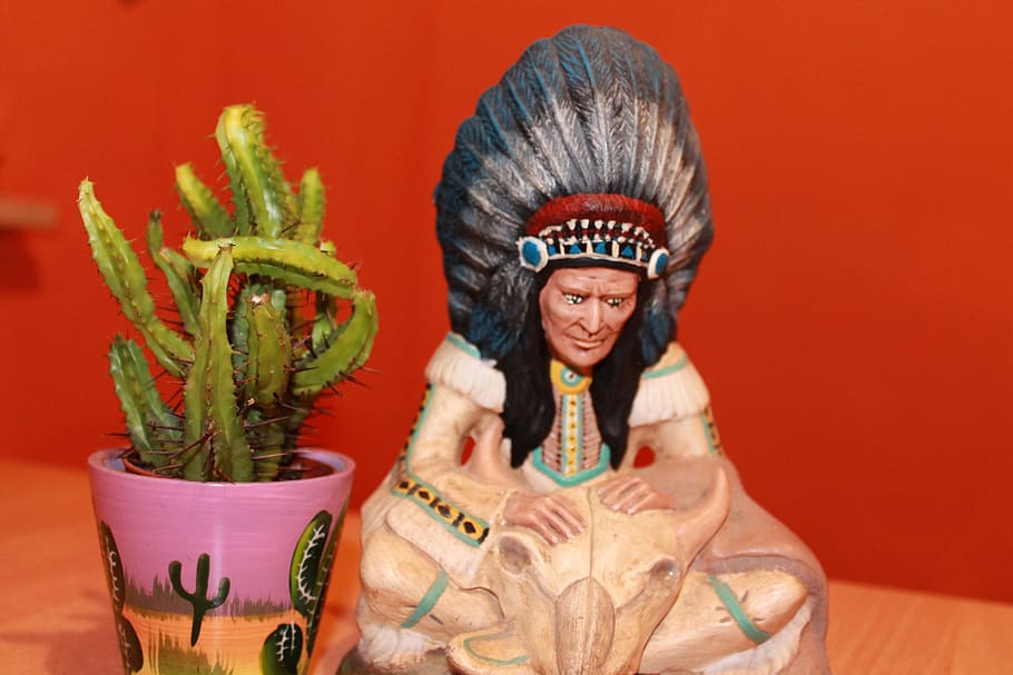 cactus, indians, chief, figure, cultures, colored background, studio shot, indoors, art and craft, clothing