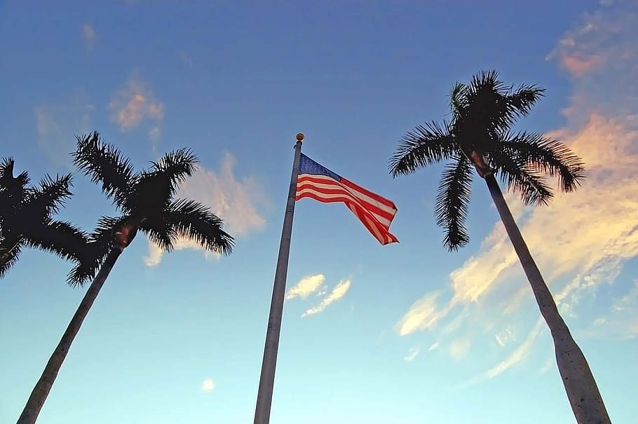 Flag, American, Palm, Flagstaff, flagpole, sunset, sky, blue, cloud, usa