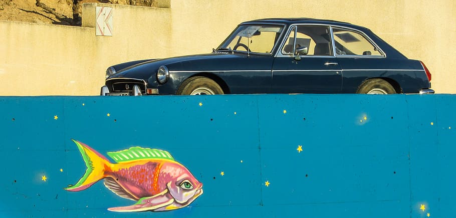 coche viejo, pescado, fantasía, graffiti, color, chipre, paralimni, calle, arte, coche