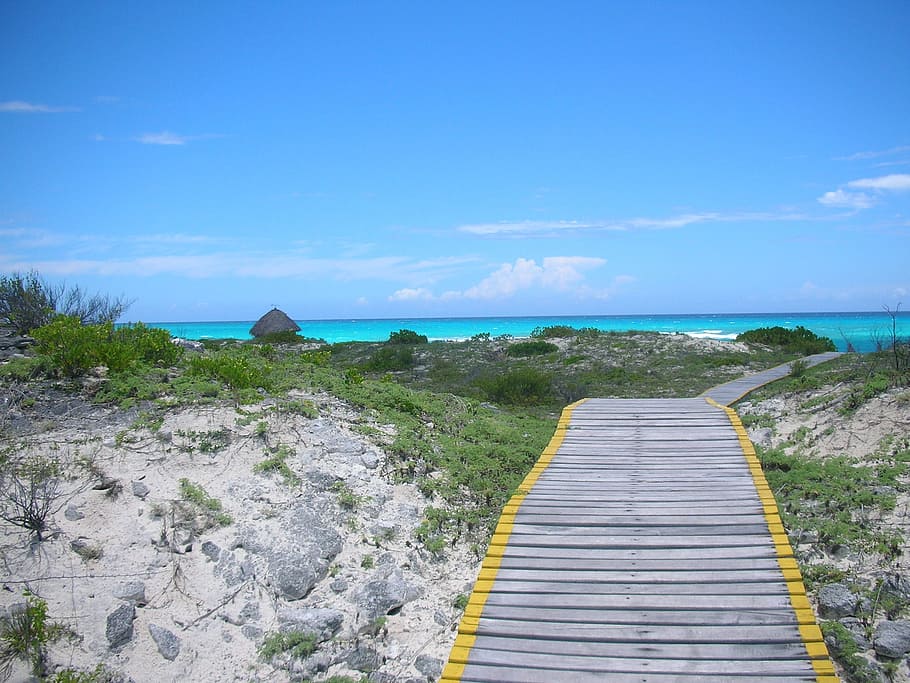 gray, wooden, pathway, towards, Sea, Path, Travel, Cuba, Water, Wild