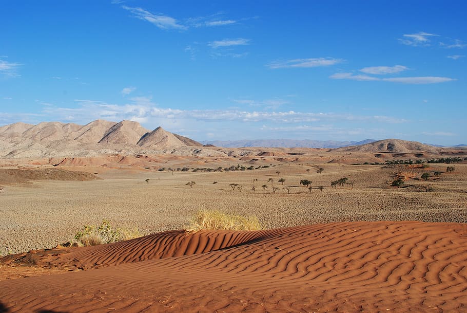 desert during daytime, namibia, africa, desert, dune, sand, earth, landscape, national park, nature