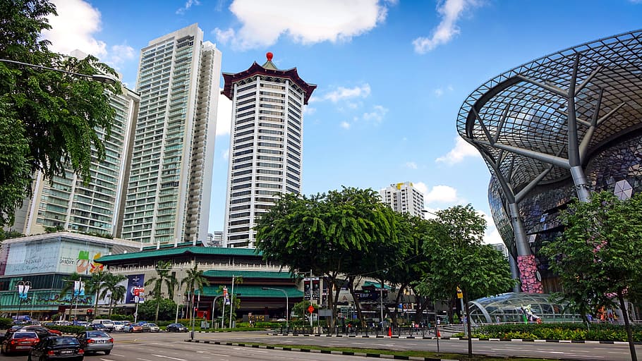 verde, árboles, rascacielos, edificio, singapur, camino de huerta, lugar turístico, turista, hotel, centro comercial