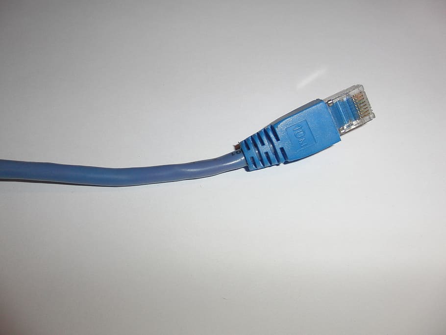 rede, cabo, ethernet, plugue, azul, cabo de computador, plugue de conexão de rede, internet, rede de computadores, conexão
