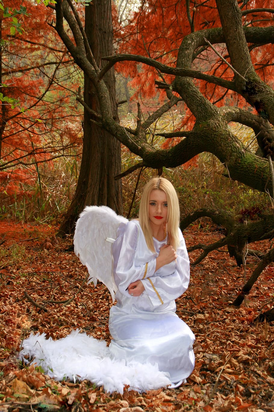 mujer de cabello rubio, vestido de ángel, árbol, niña, ángel, otoño, alas, hojas, rojo, blanco