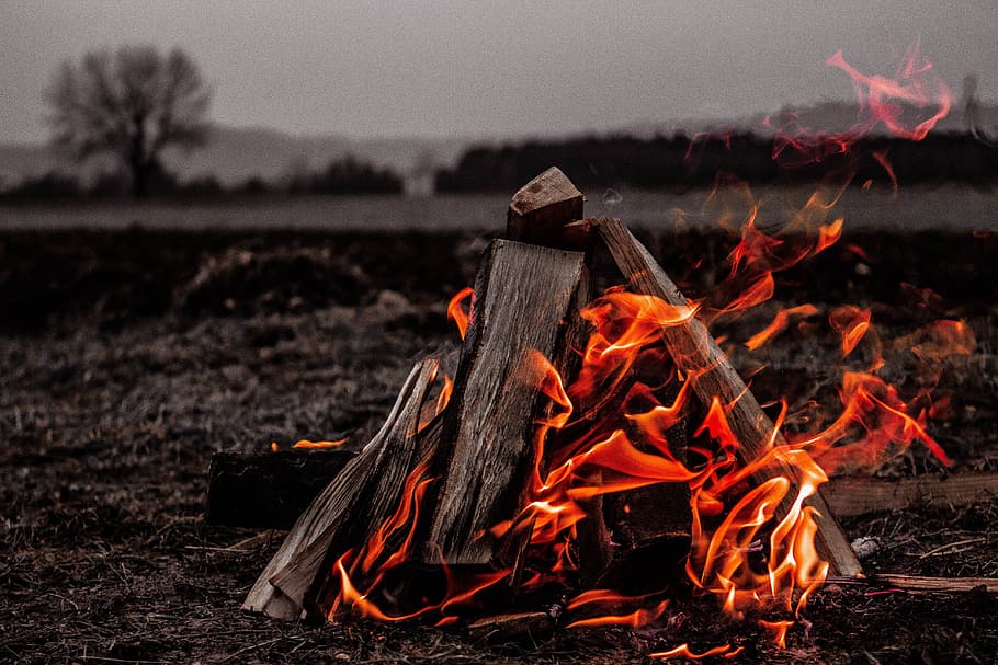 火, 炎, bonき火, キャンプファイヤー, 熱, fire, 燃焼, 熱-温度, 火-自然現象, 自然