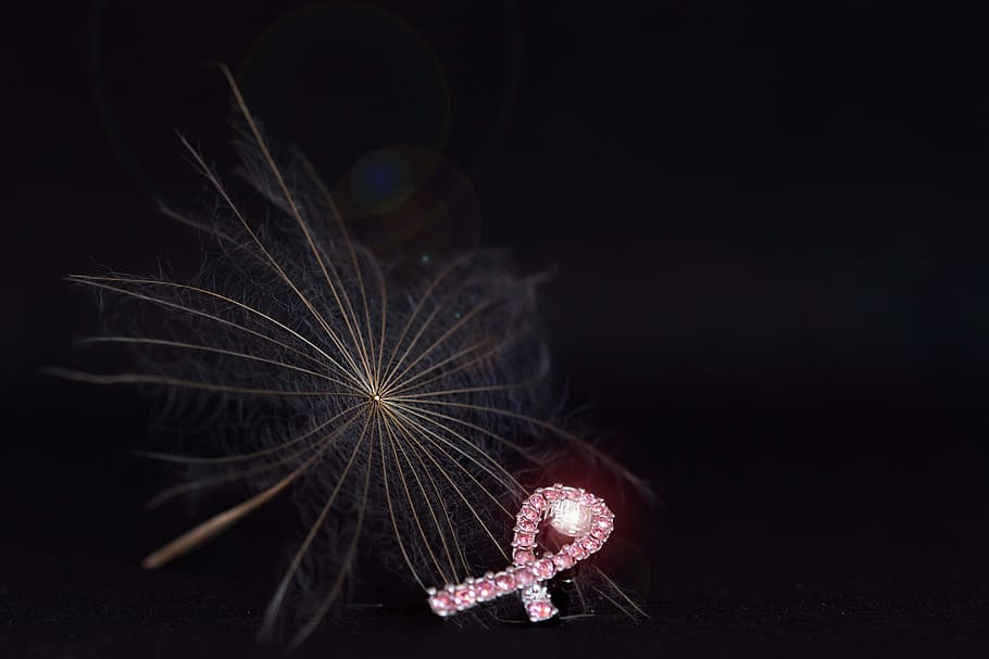 feather flower, breast cancer, pink, dandelion, breast cancer ribbon, pink ribbon, night, illuminated, celebration, event