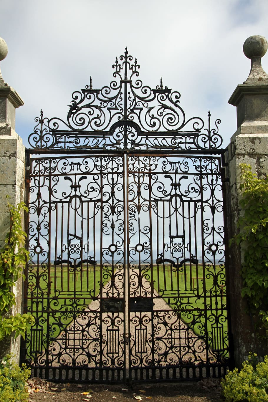closed, black, metal scrolled gate, gate, door, entrance, old, metal, ancient, antique