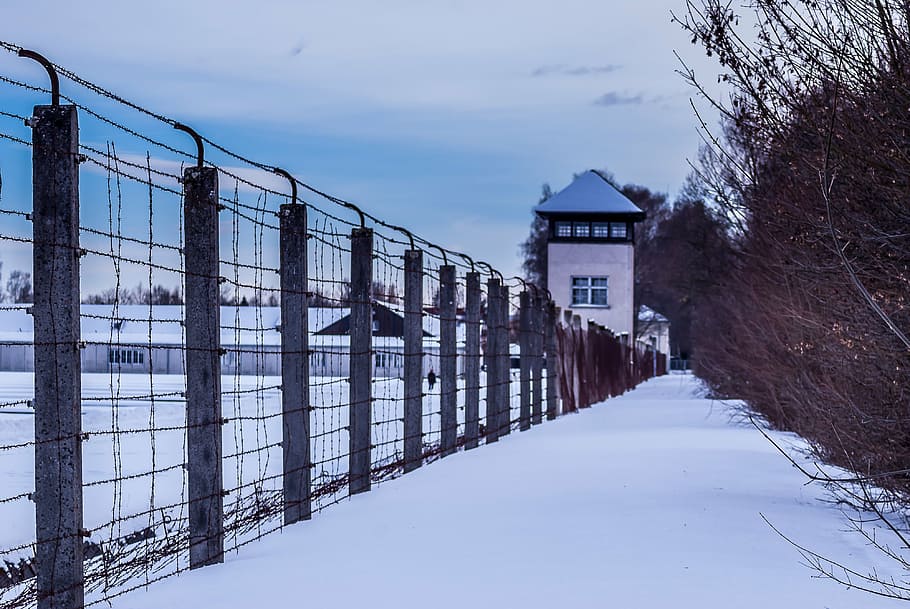 構造, 囲まれた, フェンス, 覆われた, 雪, kz, kzダッハウ, konzentrationslager, ヒトラー時代, ダッハウ