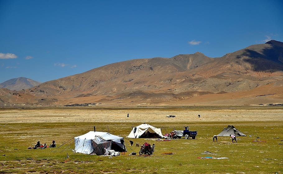 Tíbet, paisaje, nómadas, personas, tiendas de campaña, ganado, campos, montañas, cielo, nubes