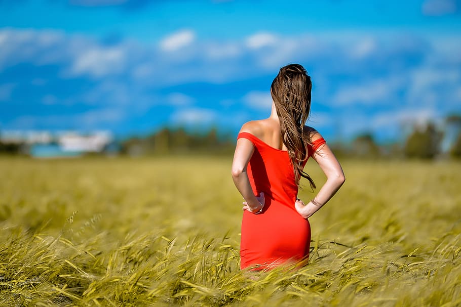 girl, red dress, figure, field, rye, the wind in your hair, model, hair, woman, style