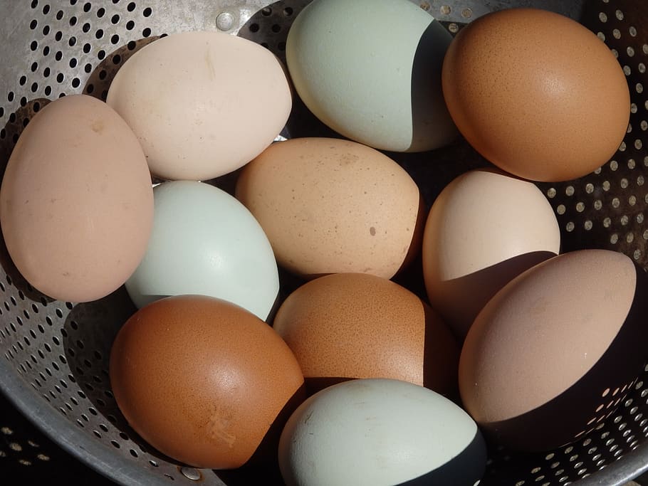 egg, easter, egg yolk, cholesterol, eggshell, chicken, breakfast, healthy, food and drink, food