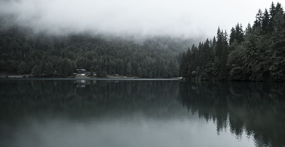 lakeside, resort, residence, forest, remote, tranquil, quiet, calm, water, reflection