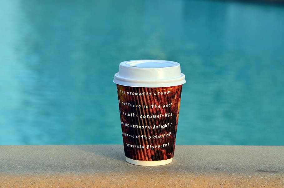 fotografia, branco, preto, vermelho, copo, piscina, café, bebida, manhã, cafeína